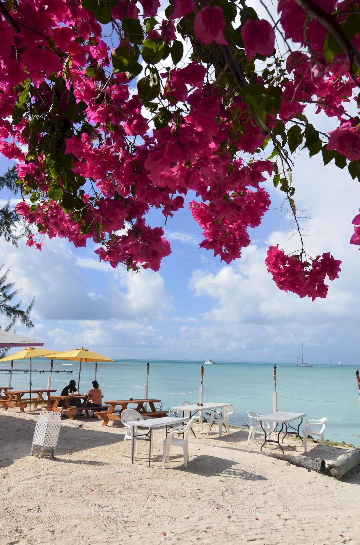 Anegada Reef Hotel The Settlement Bagian luar foto