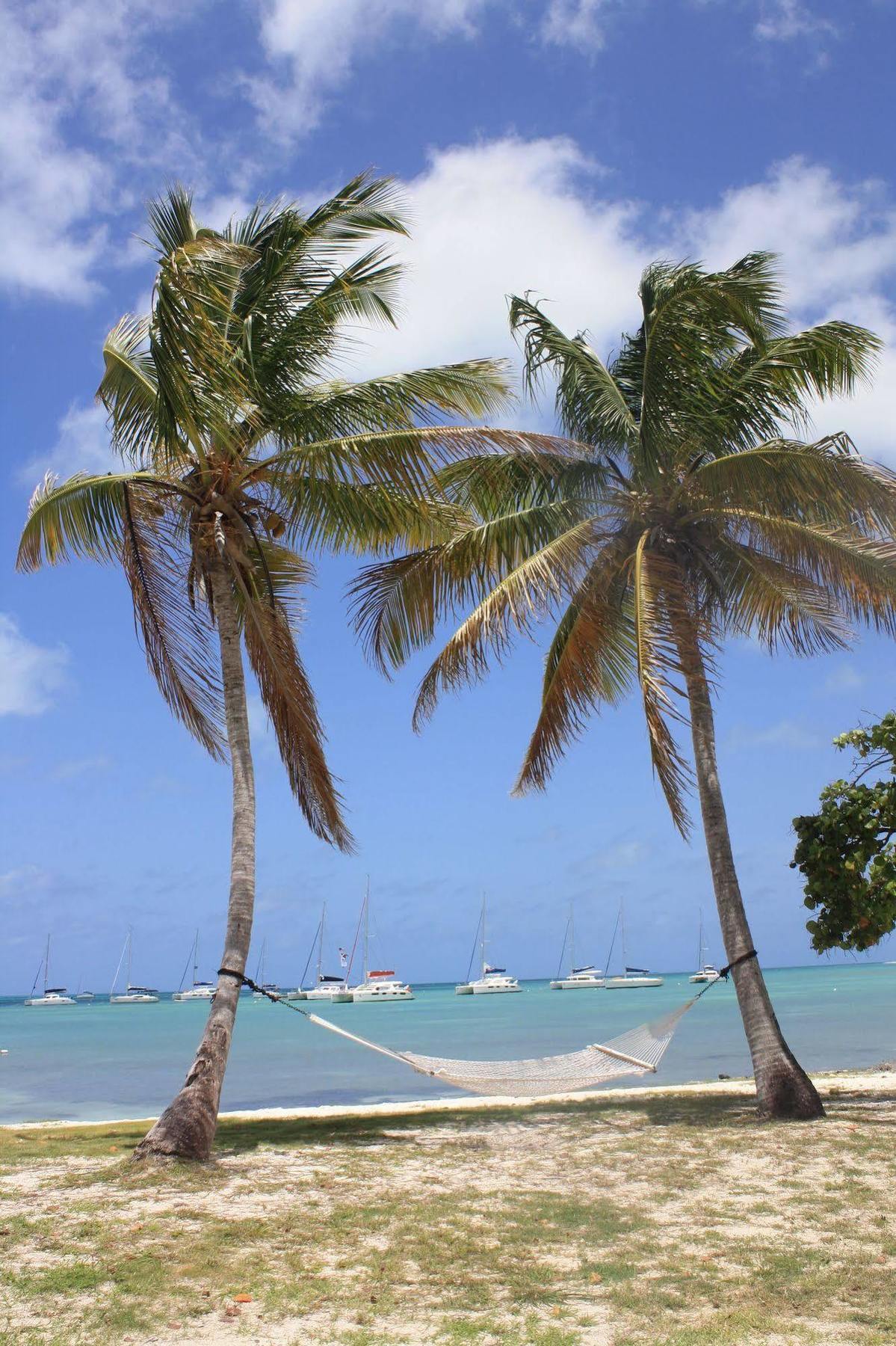 Anegada Reef Hotel The Settlement Bagian luar foto
